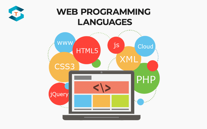 web programming language